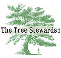 The Tree Stewards