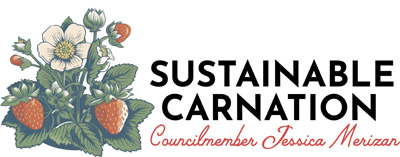 Councilmember Jessica Merizan's Sustainable Carnation