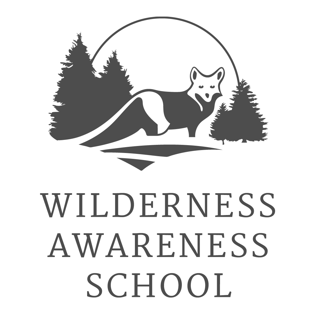 Wilderness Awareness School